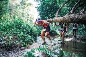 BIB: 
                            <button type="button" onclick="openModal(25439069)" class="btn btn-primary btn-sm float-right btn-popup" data-toggle="modal" data-target=".modal-high-quality">
                        <i class="fas fa-shopping-cart"></i> Add to Cart
                    </button>
                                            <button type="button" onclick="isThisMe(25439069, true)" class="btn btn-success btn-sm float-right btn-popup btn-isme hidden" data-toggle="tooltip" data-placement="bottom" title="นี่คือรูปของคุณใช่ไหม คลิกที่นี่เพื่อเอาเข้าอัลบั้ม">
                        <i class="fas fa-plus"></i> Add to album
                    </button>
                    <button type="button" onclick="isThisMe(25439069, false)" class="btn btn-warning btn-sm float-right btn-popup btn-isnotme hidden">
                        <i class="fas fa-ban"></i> Remove from album
                    </button>